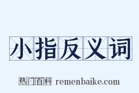 小指反义词是什么意思的图片